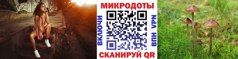 Купить где  Ясногорск  Псилоцибиновые грибы мухоморы 